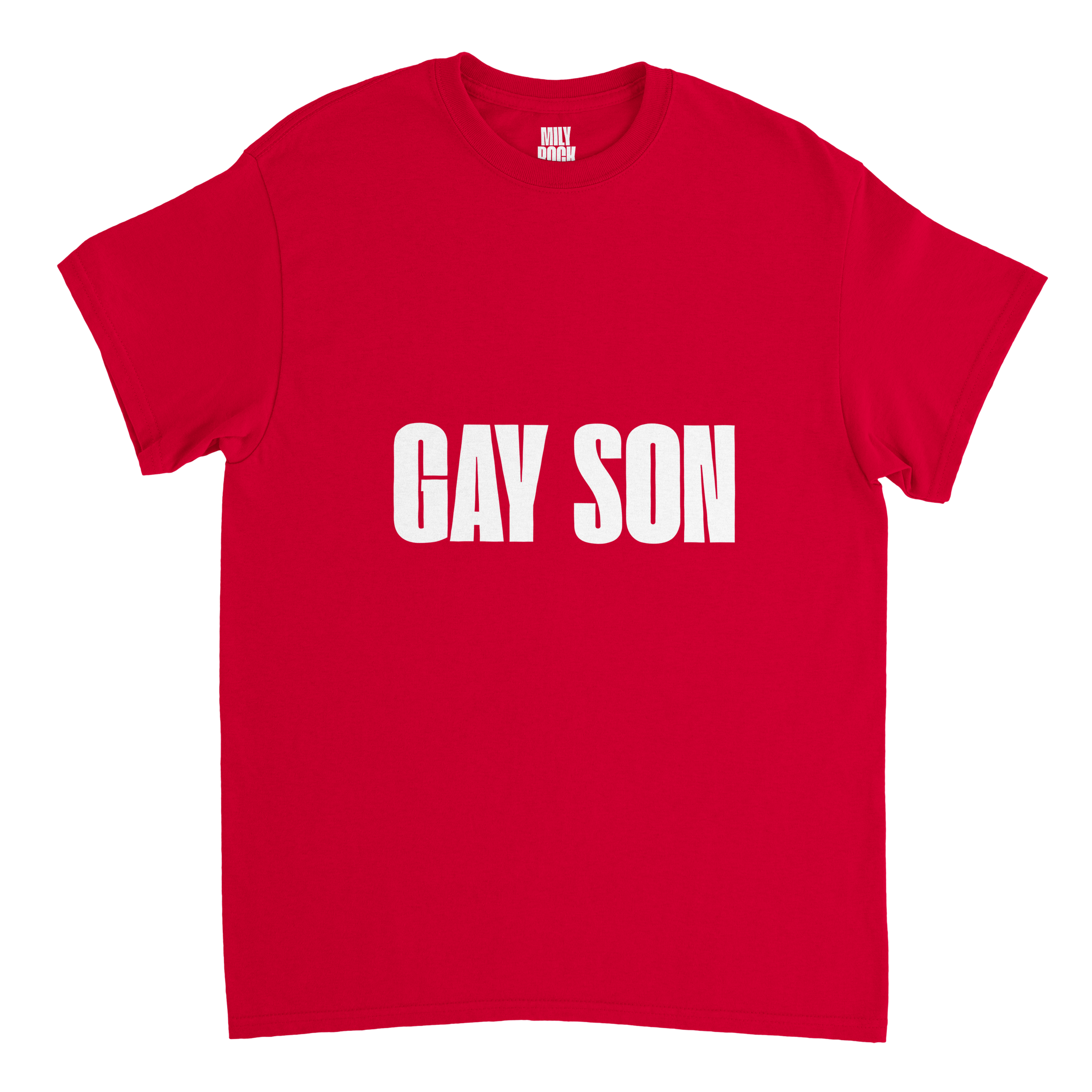 T-Shirt "GAY SON" aus 100% Baumwolle (Verschiedene Farben)