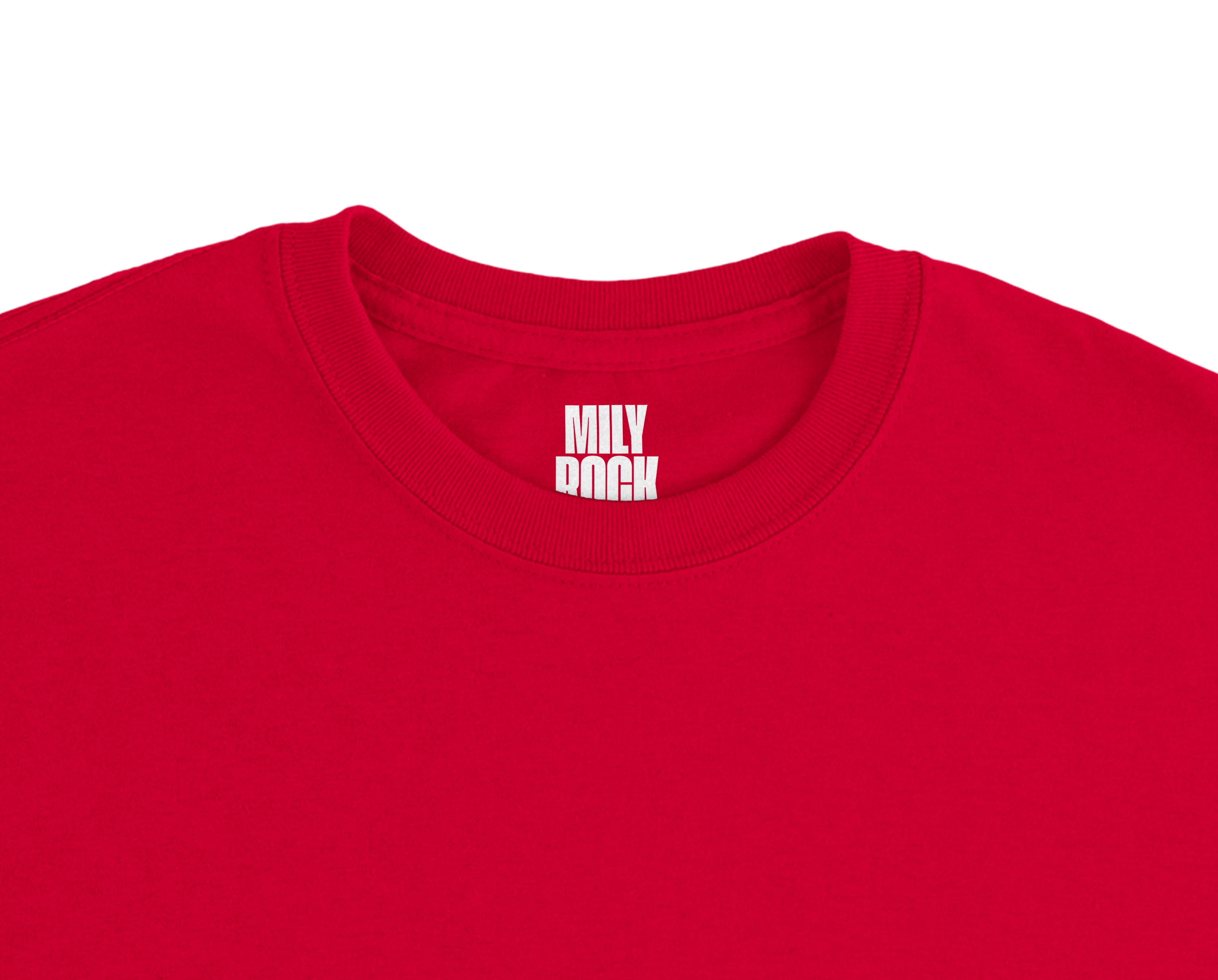 T-Shirt "GAY SON" aus 100% Baumwolle (Verschiedene Farben)