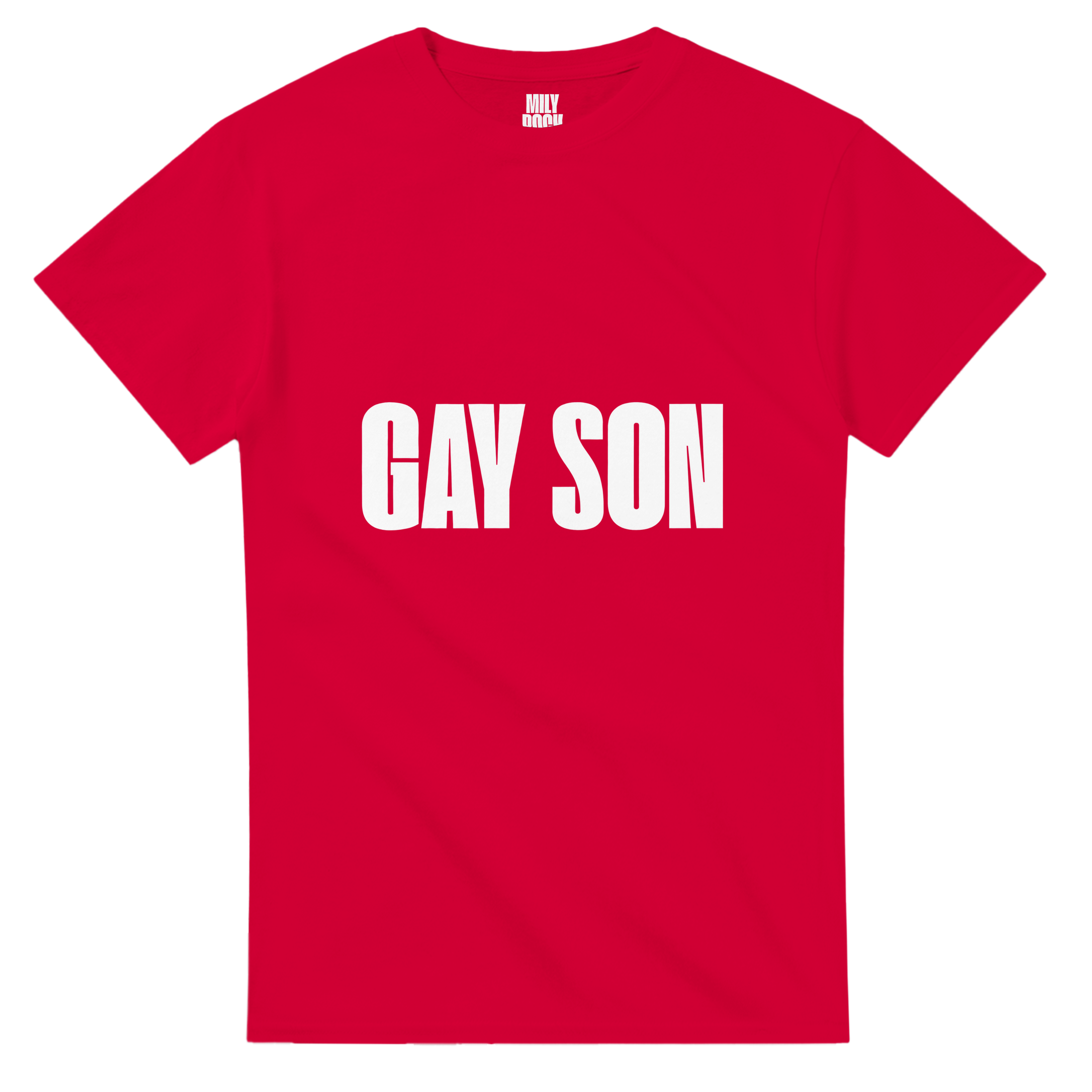 T-Shirt "GAY SON" aus 100% Baumwolle (Verschiedene Farben)
